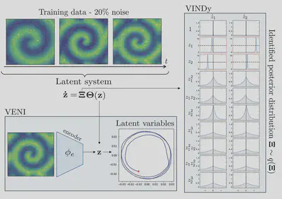 Application to the reaction–diffusion system. Top left: three snapshots of training data corrupted with 20% noise. Bottom left: the VENI encoder maps each snapshot to a two-dimensional latent state, tracing out a closed orbit in the phase portrait. Right: the identified posterior distributions over the VINDy coefficient matrix — a handful of terms carry tight, non-zero distributions while the rest collapse to zero, yielding a sparse and interpretable latent ODE.